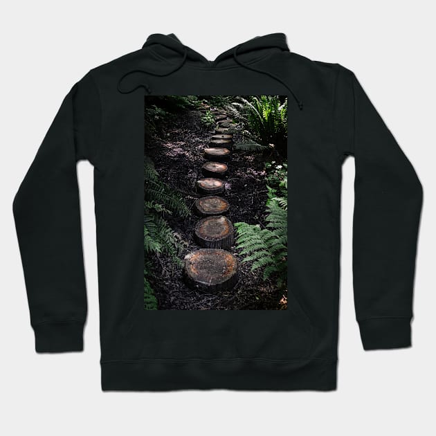 Tree stump path in the forest Hoodie by Robtography